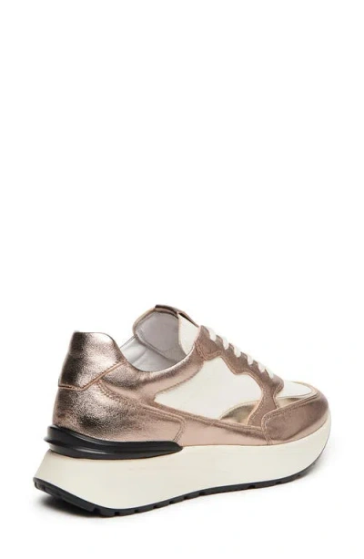 Nerogiardini Retro Sneaker In Multi