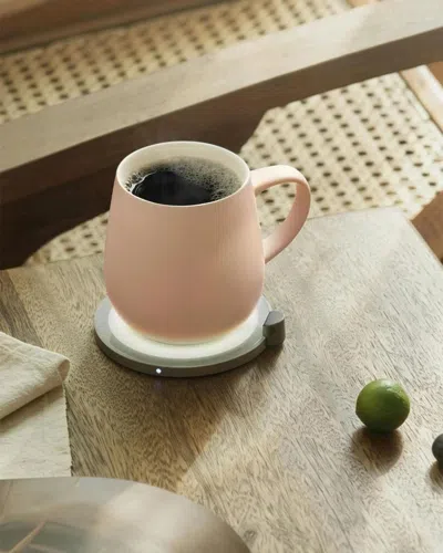 Ohom Ui Self-heating Mug Set In Brown