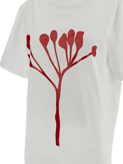 Plan C Graphic-print T-shirt In White
