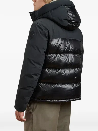 Blauer Brook Quilted Hooded Jacket In Multi