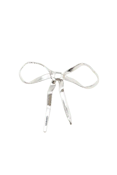 Massimo Dutti In Silver