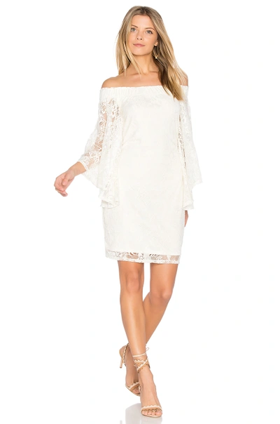 Shop Bb Dakota Jack By  Daniela Dress In Ivory