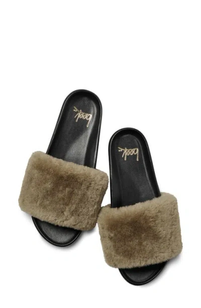 Beek Gallito Mas Shearling In Multi