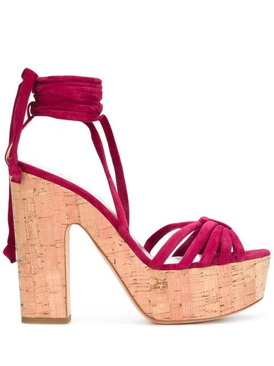 Shop Alchimia Di Ballin Platform Sandals In Pink