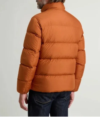 Woolrich Cloud Eagle Jacket In Orange