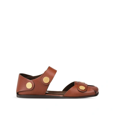 Shop Stella Mccartney Collection Flat Sandals In Tan