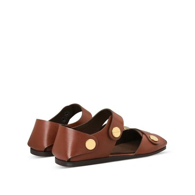 Shop Stella Mccartney Collection Flat Sandals In Tan