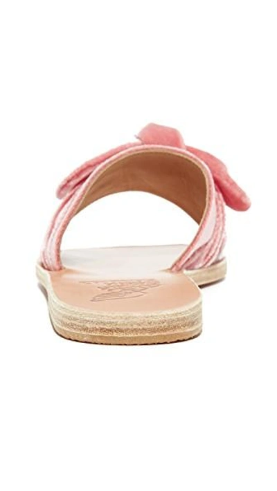 Shop Ancient Greek Sandals Taygete Bow Slides In Dusty Pink