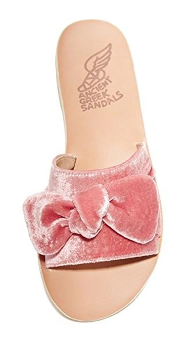 Shop Ancient Greek Sandals Taygete Bow Slides In Dusty Pink