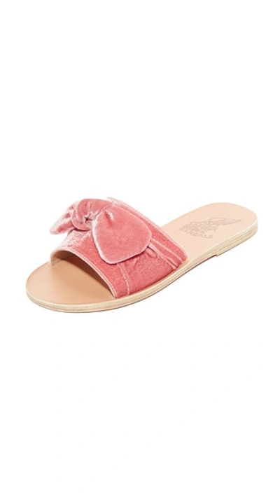 Shop Ancient Greek Sandals Taygete Bow Slides In Dusty Pink