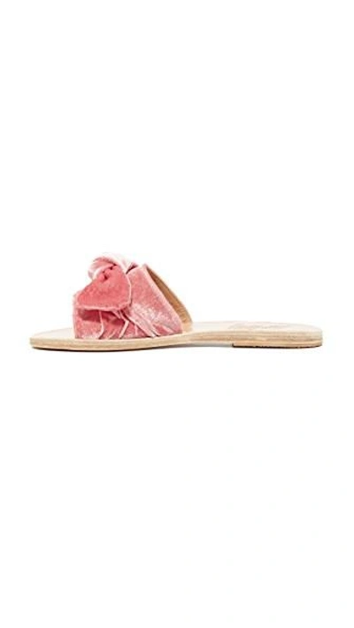 Shop Ancient Greek Sandals Taygete Bow Slides In Dusty Pink