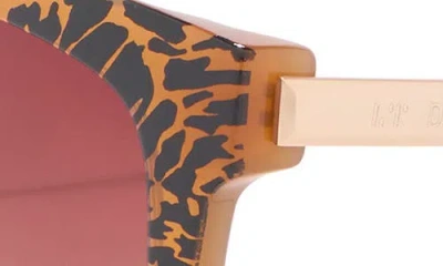 Diff Hailey Square Sunglasses In Brown
