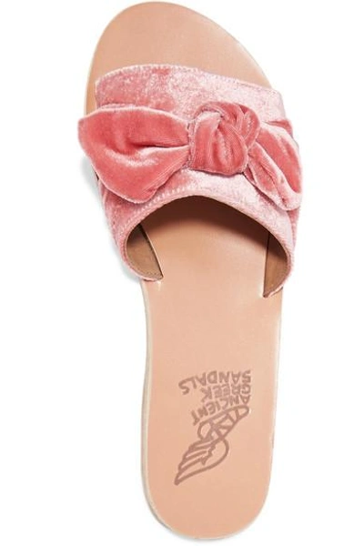Shop Ancient Greek Sandals Taygete Bow-embellished Velvet Slides In Antique Rose