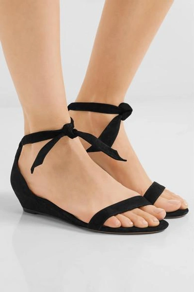 Shop Alexandre Birman Atena Bow-embellished Suede Wedge Sandals In Usd