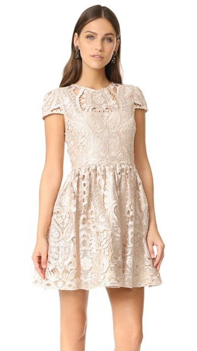 Shop Alice And Olivia Gracia Full Cap Sleeve Dress In Nude Pink