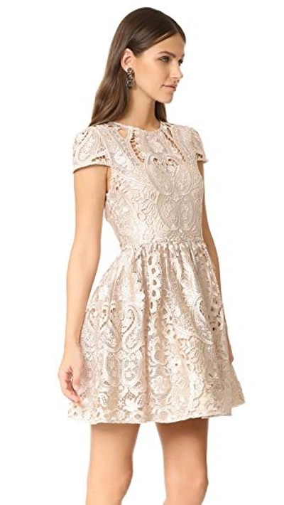 Shop Alice And Olivia Gracia Full Cap Sleeve Dress In Nude Pink
