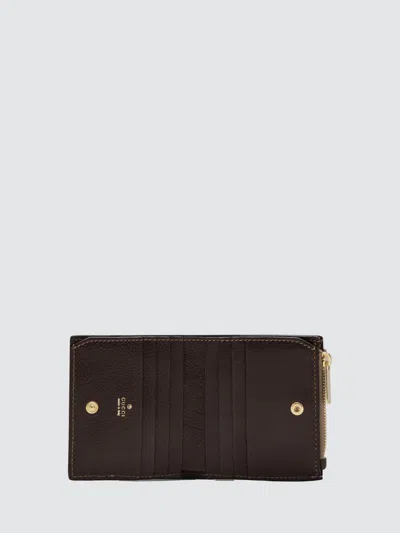 Gucci Web Small Wallet In Brown