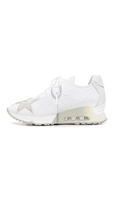 Shop Ash Lucky Star Sneakers In White/off White