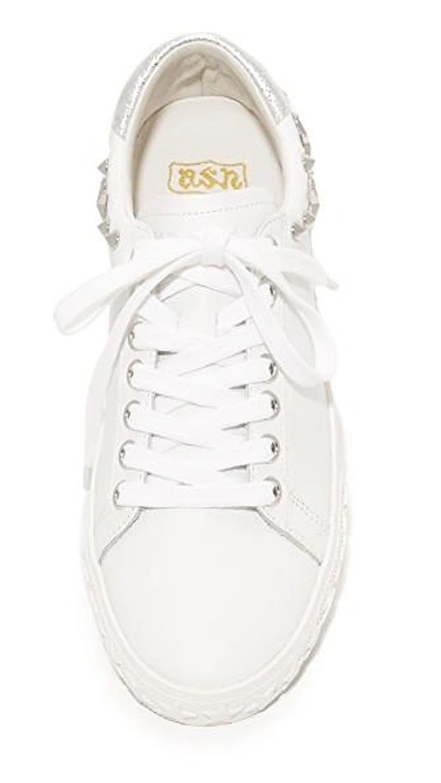 Shop Ash Dazed Sneakers In White/silver