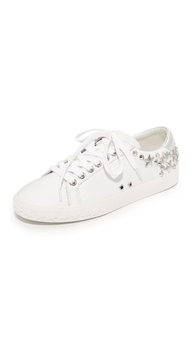 Ash Women's Dazed Star Studded Leather Lace Up Sneakers In White