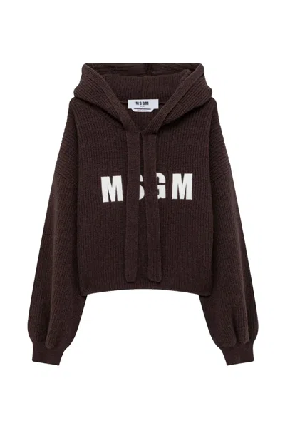 Msgm Sweaters In Brown