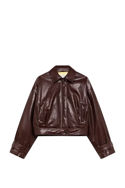 Msgm Logo-patch Cropped Jacket In Brown