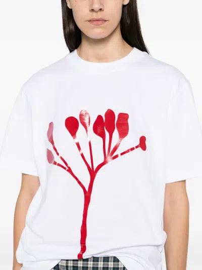 Plan C Graphic-print T-shirt In Multi
