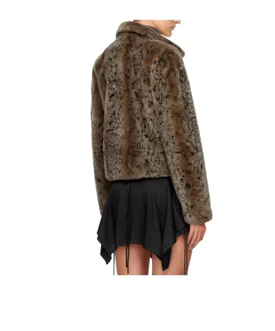 Knwls Collared Jacket In Brown
