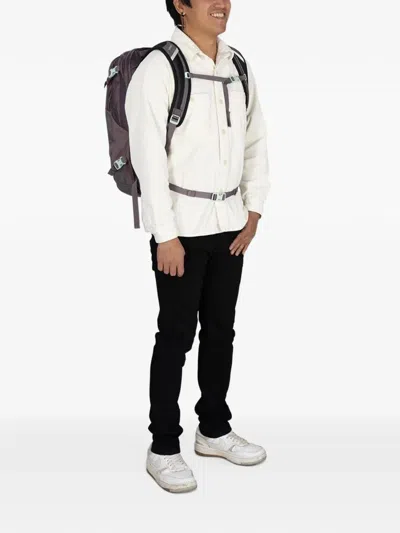 Osprey Nebula Backpack In Purple