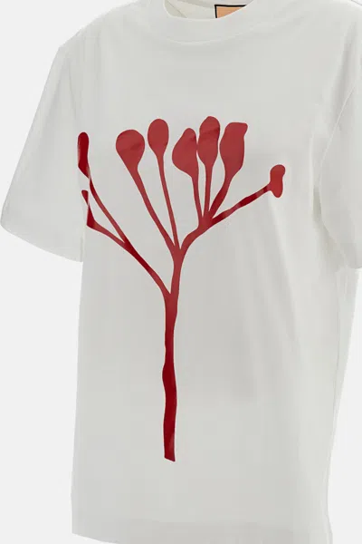 Plan C Graphic-print T-shirt In Multi