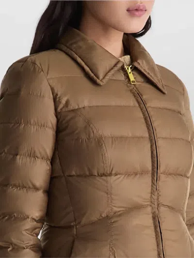Peuterey Down Coat In Brown