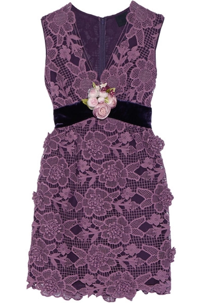 Anna Sui Camilla Velvet-trimmed Crocheted Lace Mini Dress In Plum-mul