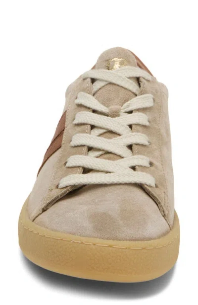 Paul Green Adonis Sneaker In Multi