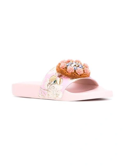 Shop Dolce & Gabbana Raffia Embellished Slides - Pink