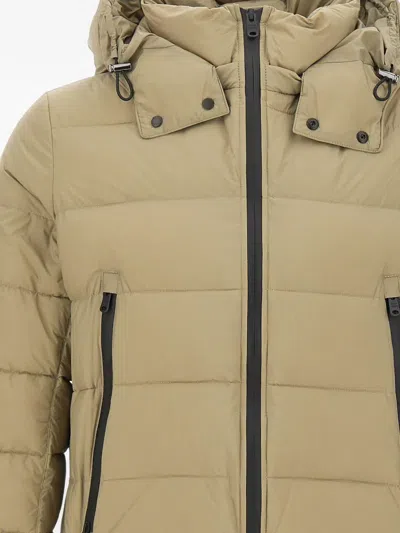 Tatras Borbore Down Jacket In Brown