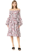 CAROLINE CONSTAS Gisele Tea Length Dress