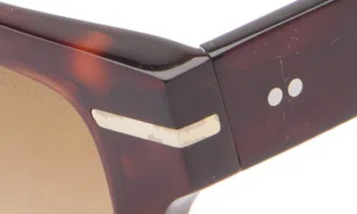 Cutler And Gross 1363 Rectangular Sunglasses In Brown