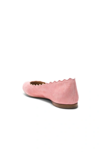 Shop Chloé Chloe Suede Lauren Flats In Pink