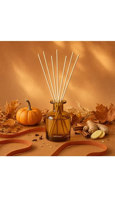 Apotheke Pumpkin Ginger Reed Diffuser In Multi