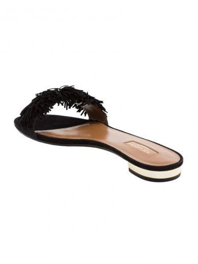 Shop Aquazzura Wild Thing Flat Sandals In Black