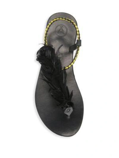 Shop Álvaro González Andreina Leather Sandals In Black
