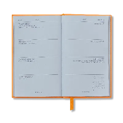Smythson 2026-2027 Panama Weekly Diary With Pocket In Orange | ModeSens