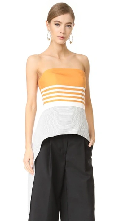 C/meo Collective Element Bustier Top In Stripe