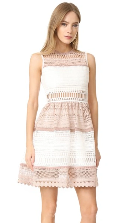 Alexis Melania Tiered Lace Dress In Whtbeige