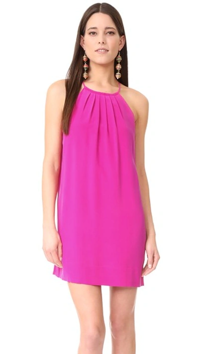Shop Joie Chace Dress In Freesia