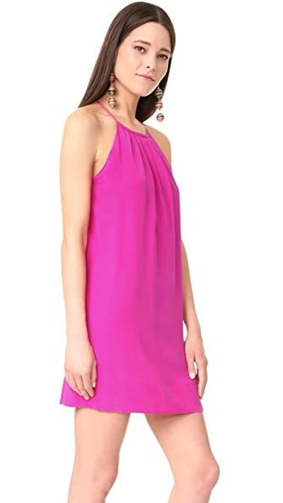 Shop Joie Chace Dress In Freesia