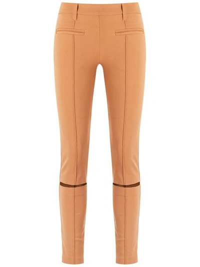 Shop Gloria Coelho Skinny Pants In Orange