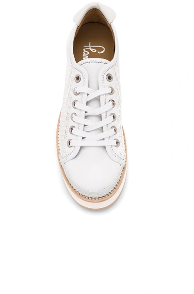 Shop Flamingos Tatum Sneaker In Mesh White