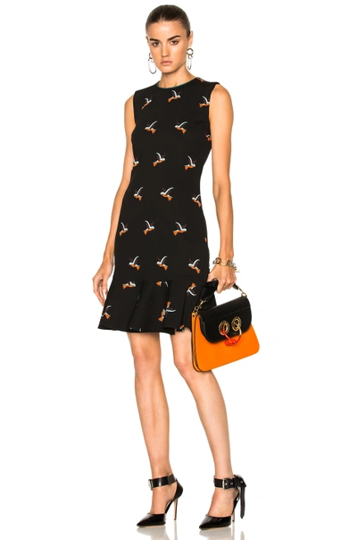 Shop Victoria Victoria Beckham Flounce Hem Dress In Hummingbird Black & Multi