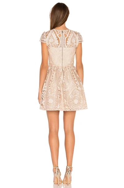 Shop Alice And Olivia Gracia Dress In Nude Pink
